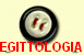 EGITTOLOGIA